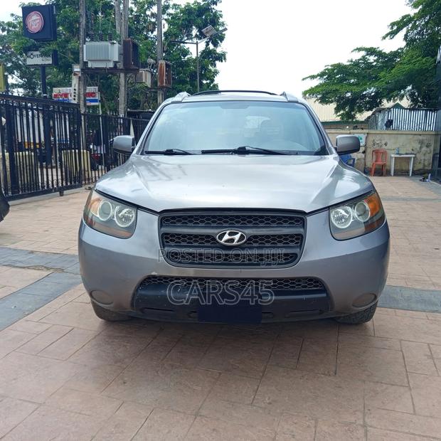Hyundai Santa Fe 2008 Blue