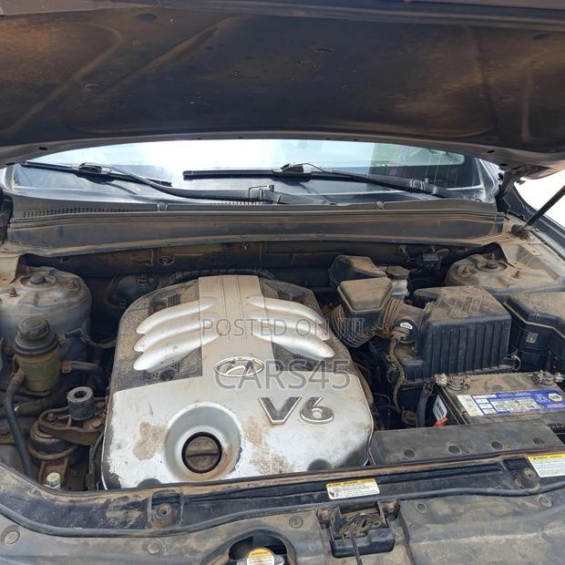 Hyundai Santa Fe 2008 Blue