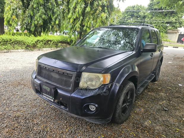 Ford Escape 2010 Blue