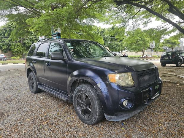 Ford Escape 2010 Blue