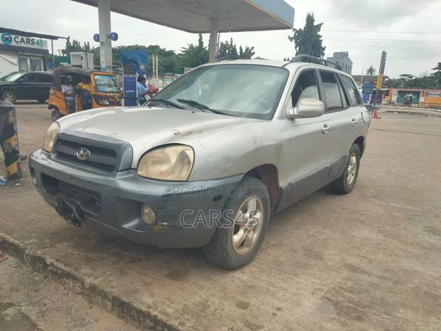 Hyundai Santa Fe 2006 Silver