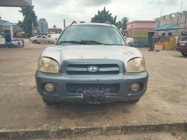Hyundai Santa Fe 2006 Silver