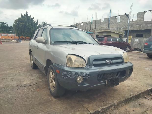 Hyundai Santa Fe 2006 Silver