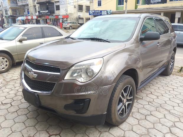 Chevrolet Equinox LS 2010 Brown