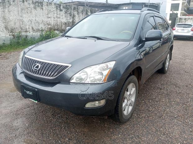 Lexus RX 2007 Gray
