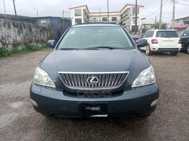 Lexus RX 2007 Gray