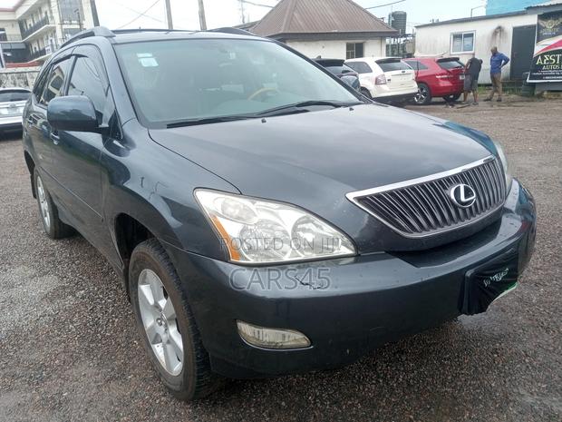 Lexus RX 2007 Gray