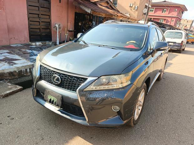 Lexus RX 2010 Gray