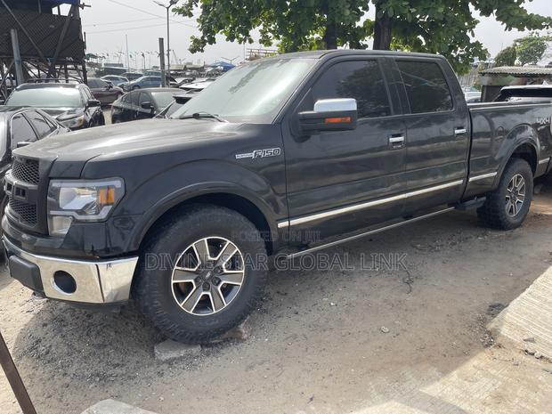 Ford F-150 Platinum 2011 Gray