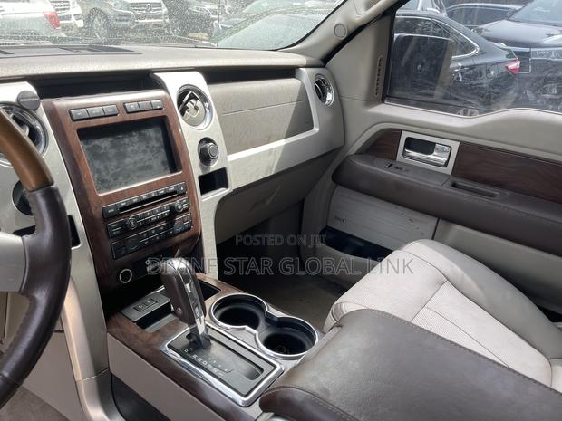 Ford F-150 Platinum 2011 Gray