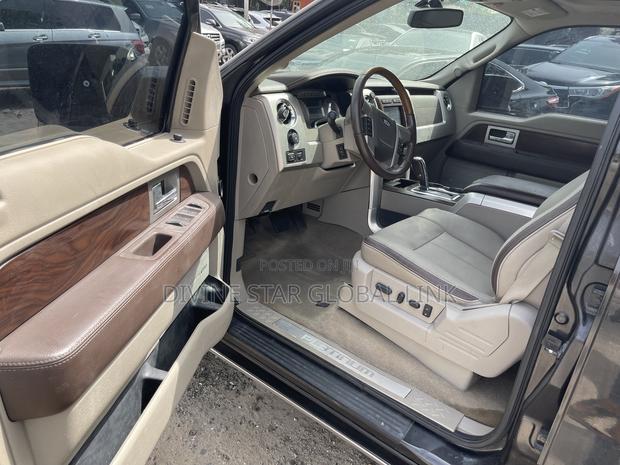 Ford F-150 Platinum 2011 Gray