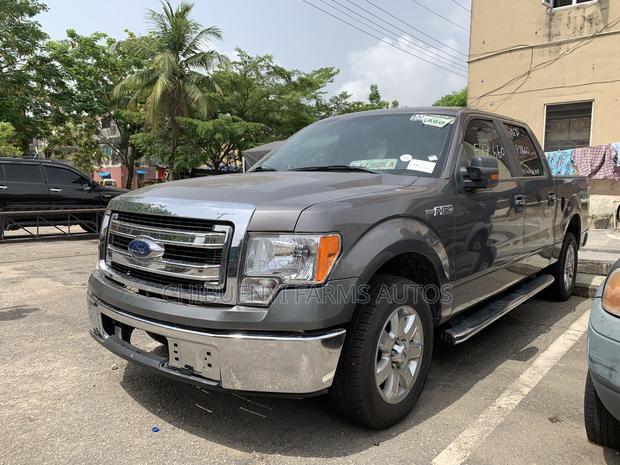 Ford F-150 2014 Gray
