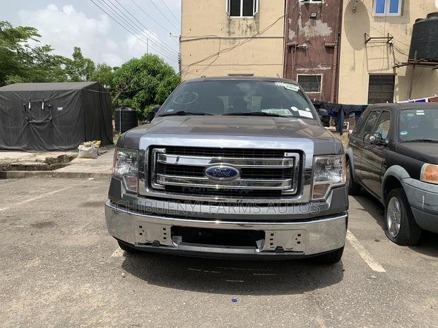Ford F-150 2014 Gray