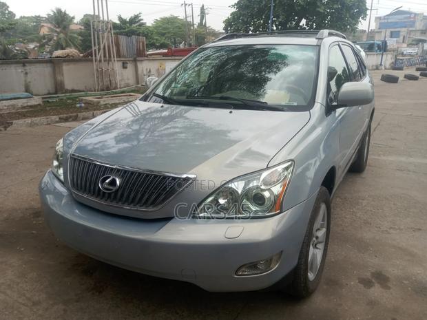 Lexus RX 330 2004 Gray