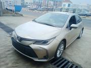 Toyota Corolla 2021 Gold for sale