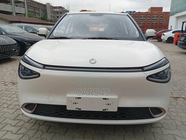 Dongfeng Nammi 01 2025 White