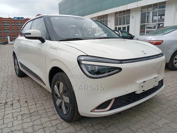 Dongfeng Nammi 01 2025 White
