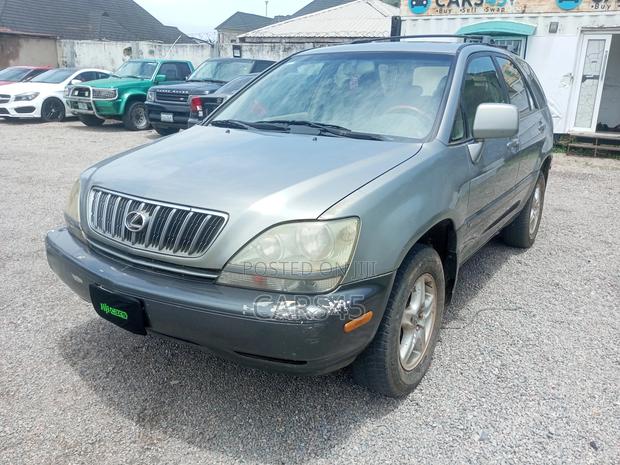 Lexus RX 2002 Gray