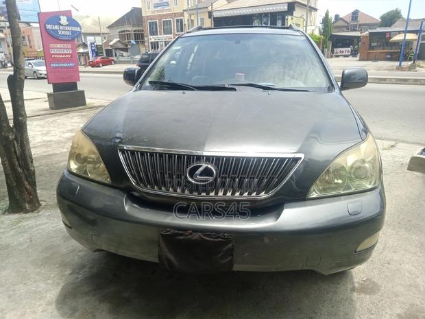 Lexus RX 330 2004 Gray