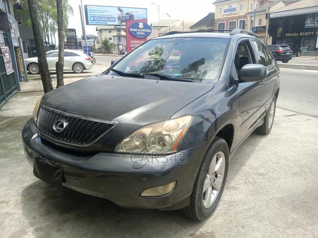 Lexus RX 330 2004 Gray