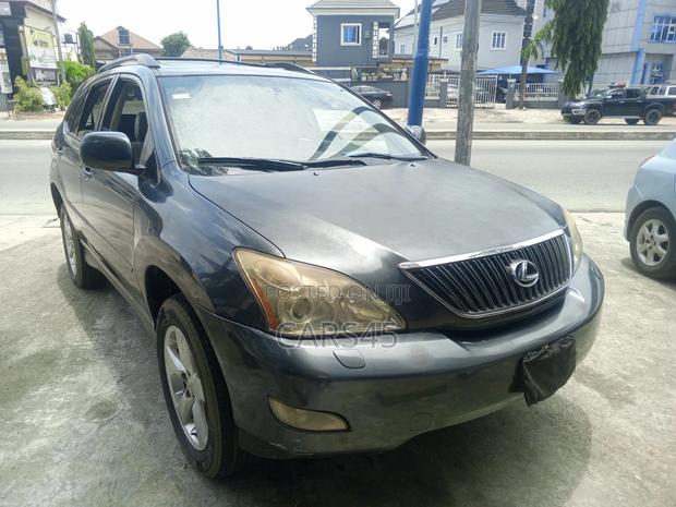 Lexus RX 330 2004 Gray