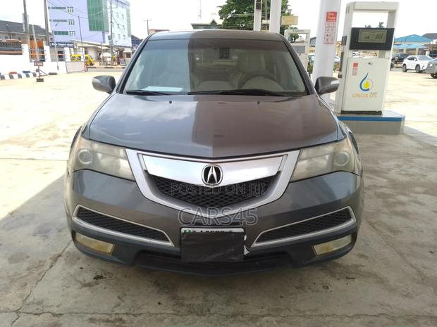 Acura MDX 2010 Gray