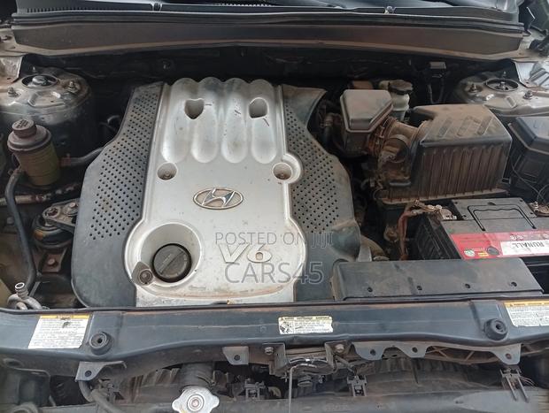 Hyundai Santa Fe 2007 Gray