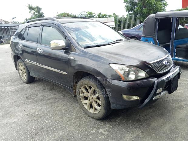 Lexus RX 350 AWD 2009 Gray