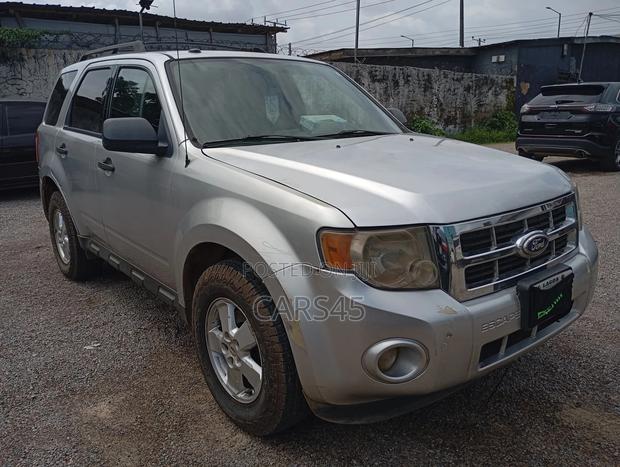 Ford Escape XLT 2010 Silver