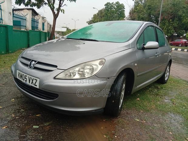 Peugeot 307 2008 Gray