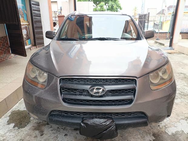 Hyundai Santa Fe 2008 Gray