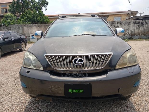 Lexus RX 350 AWD 2009 Gray