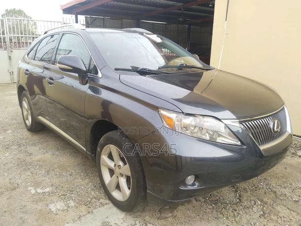 Lexus RX 2010 Gray