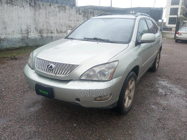 Lexus RX 2007 Gray