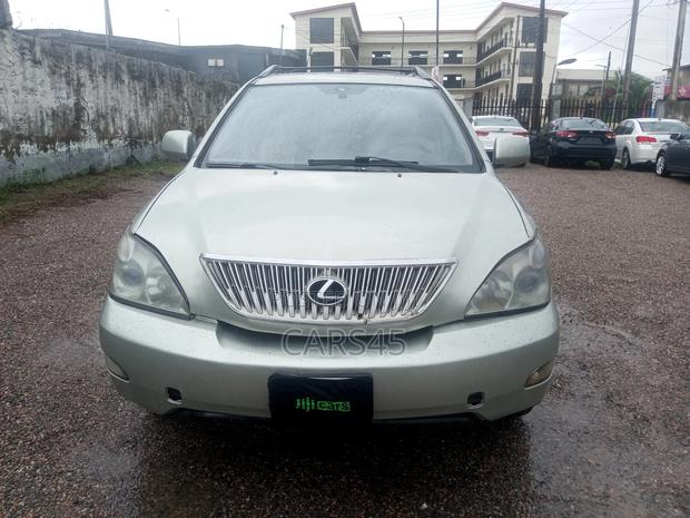 Lexus RX 2007 Gray