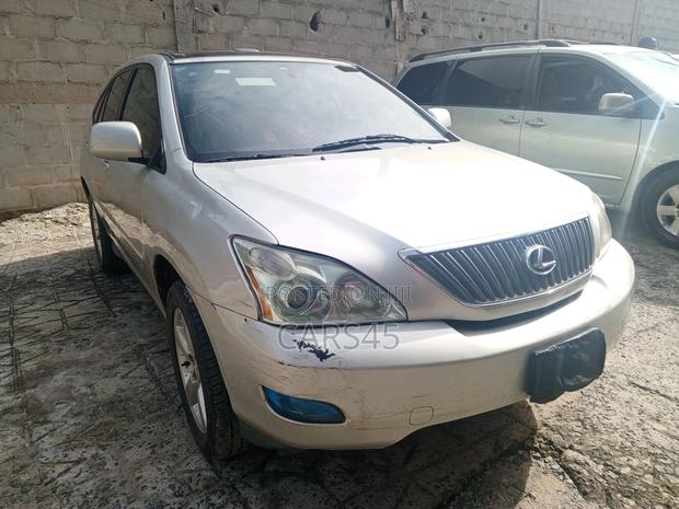 Lexus RX 330 2006 Gray