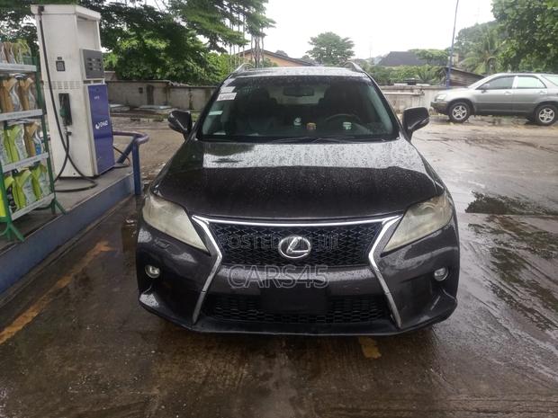 Lexus RX 2010 Gray