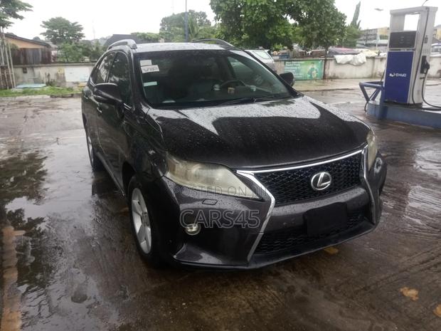 Lexus RX 2010 Gray