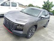 Jetour T1 2024 Gray for sale