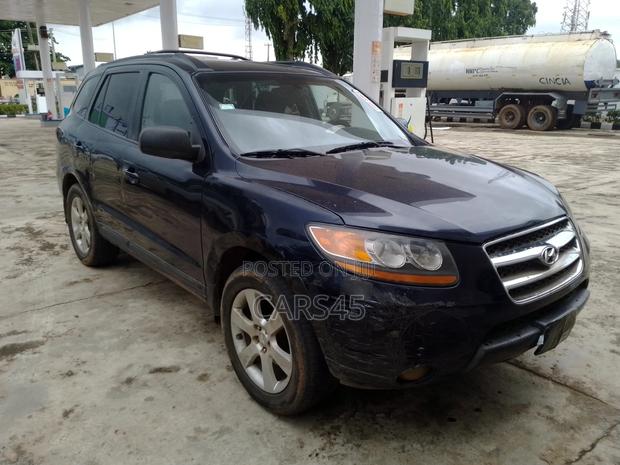 Hyundai Santa Fe 2008 Blue