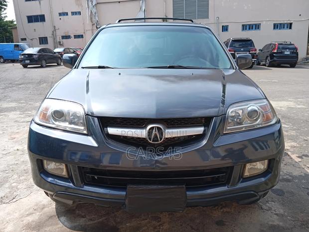 Acura MDX 2005 Gray