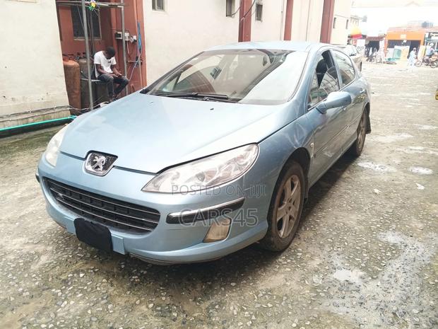 Peugeot 407 2007 Blue