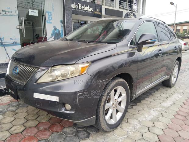 Lexus RX 2010 Gray