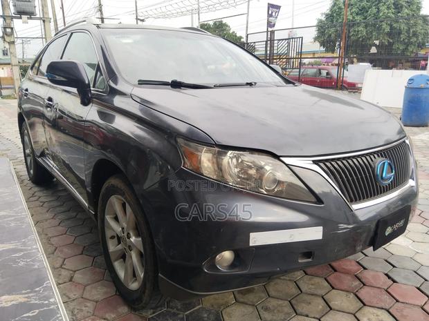 Lexus RX 2010 Gray