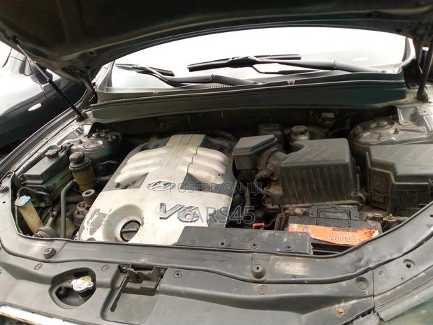 Hyundai Santa Fe 2007 Gray