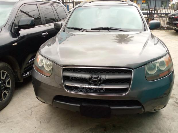 Hyundai Santa Fe 2007 Gray