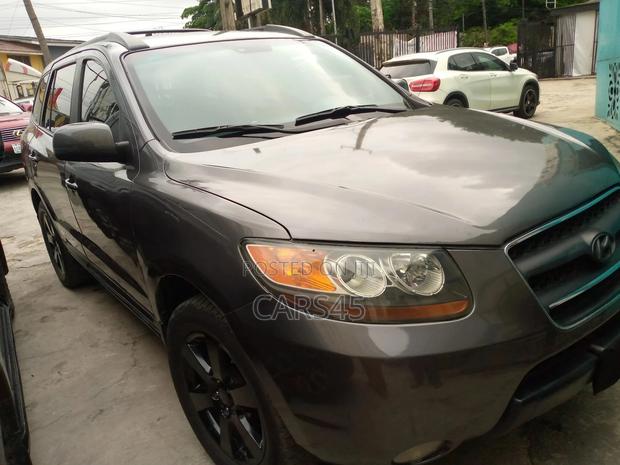 Hyundai Santa Fe 2007 Gray