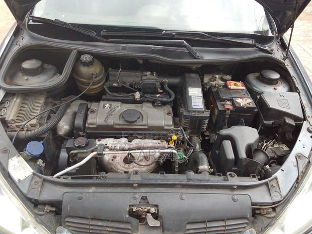 Peugeot 206 2004 Gray