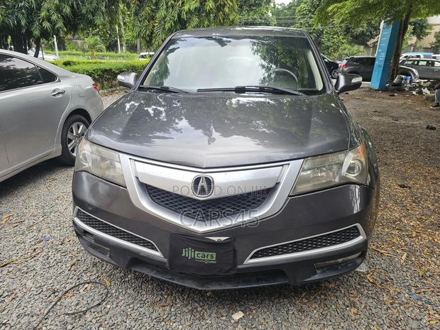 Acura MDX 2010 Gray