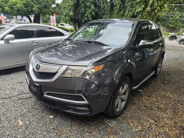 Acura MDX 2010 Gray